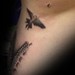 Tattoos - The rest of the zipper and birds tattoo. - 49378