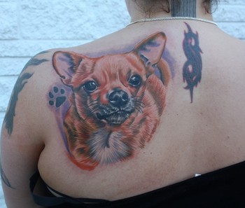 Ty McEwen - chihuahua tattoo