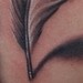 Tattoos - feather tattoo - 50096