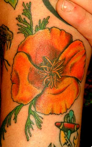 Fine Line Tattoos on Tattoo Inspiration   Worlds Best Tattoos   Tattoos   Fine Line