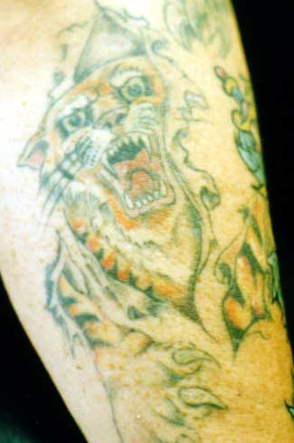 Really bad tattoo - Skin Rip Tiger