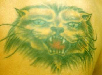 Really bad tattoo - Cat or Lion?