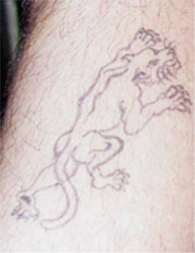 Really bad tattoo - Panther