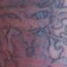 Tattoos - untitled - 56067