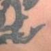 Tattoos - tribal dragon tattoo - 54974