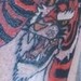 Tattoos - free dragon tattoo - 52246
