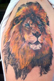 beautiful lion tattoo