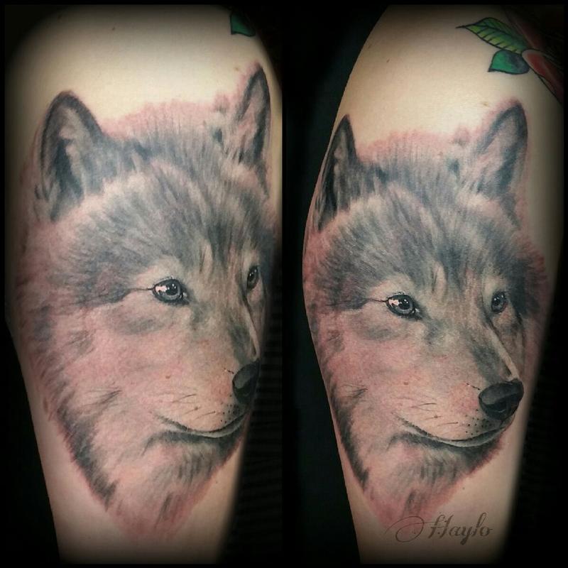 Realistic style black and gray wolf half sleeve tattoo by Haylo TattooNOW