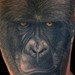 Tattoos - Brandons Gorilla cover up - 40631