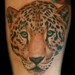 Tattoos - Brandon Leopard - 43331