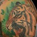 Tattoos - Brandons Tiger Coverup - 40632