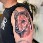 Realistic Memorial Dog Portrait  Tattoo Design Thumbnail