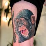 Tattoos - Realistic Chimp Tattoo Portrait  - 146609