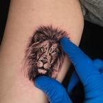 Tattoos - Micro Lion Tattoo - 146597