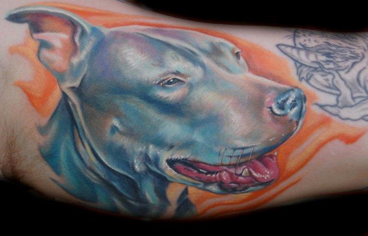 Evan Olin - Realistic dog portrait tattoo