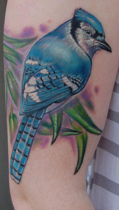 Evan Olin - Realistic color blue jay tattoo
