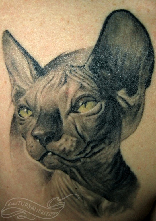 Skinny hairless cat by Oleg Turyanskiy TattooNOW