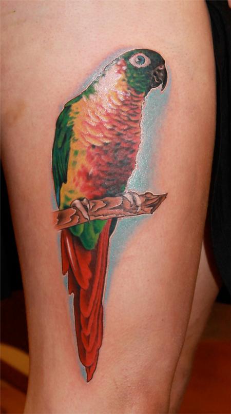 Tattoos - Parrot - 75942