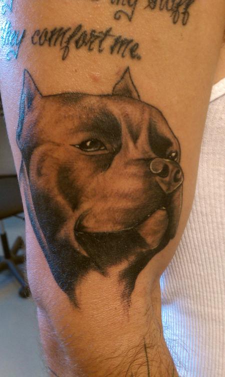 Tattoos - pit bull - 89701