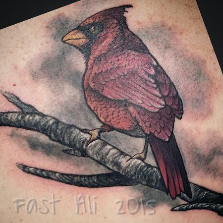 Tattoos - Rocco's Cardinal. For Dad. - 126264