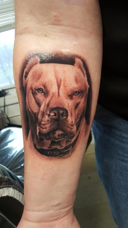 Tattoos - Pit bull dog portrait - 127357