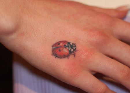 Tattoos - Ladybug - 84373
