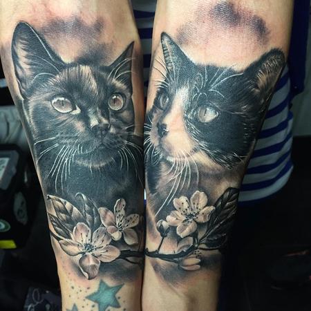 Gatos realistas en negro y gris - realistic cats in black and grey by ...
