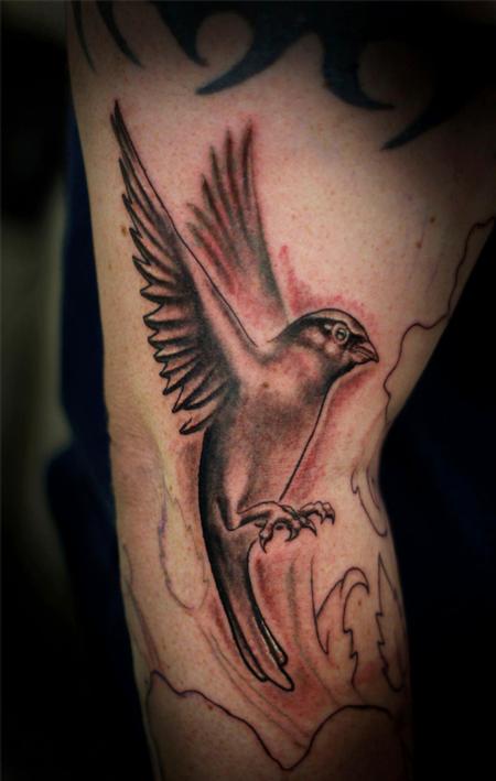Tattoos - Black and grey sparrow - 84350