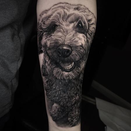 Tattoos - Poodle Dog Portrait - 139647