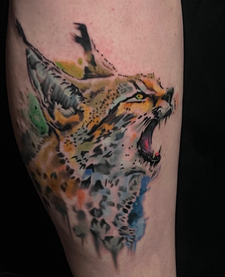 Justin Hammontree - Watercolor Bobcat