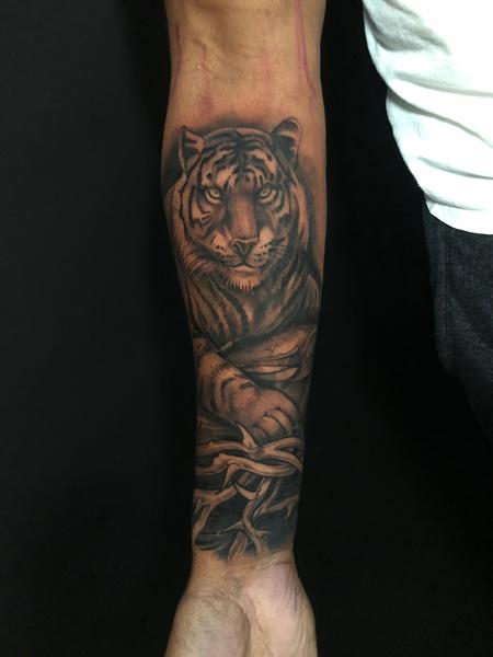 Tattoos - black and grey tiger - 141748