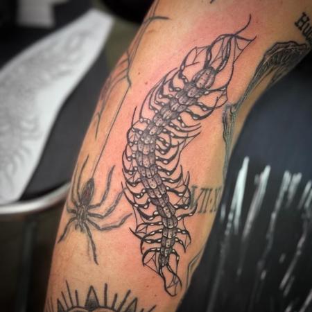 Tattoos - Centipede - 146964