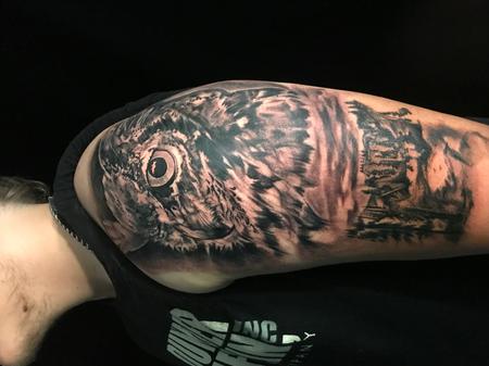 Tattoos - Owl - 146871