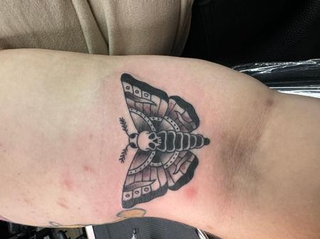 Tattoos - Moth - 146868