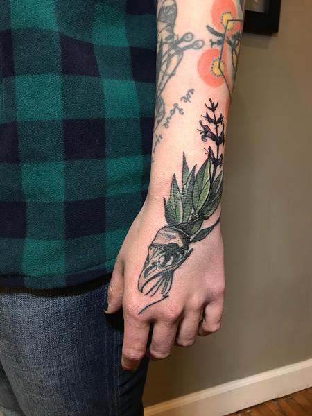 Tattoos - Crow skull sage - 138718