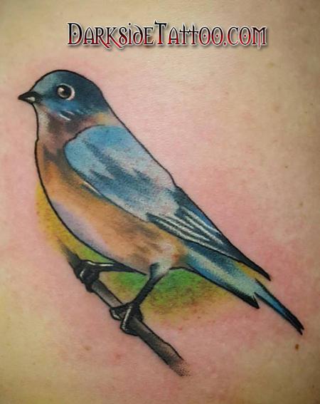 Tattoos - Color Bird Tattoo - 113665