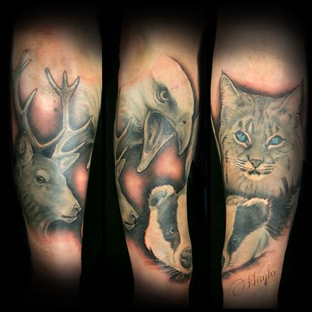 Tattoos - Wildlife half sleeve - 119379