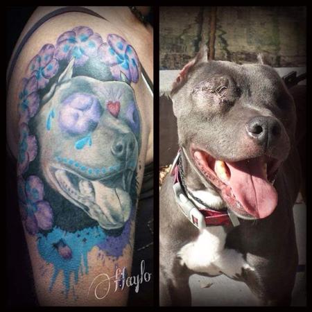 Tattoos - Odin, the pit bull with our eyes by Haylo - 141350
