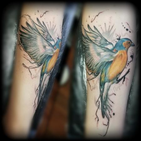 Tattoos - Blue and Gold finch with ink drips by Haylo  - 141213