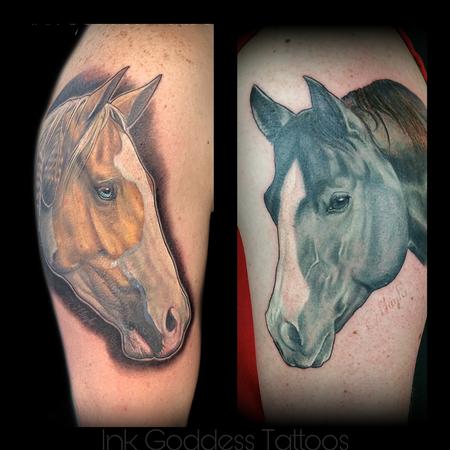 Tattoos - Horse portrait tattoos by Haylo  - 141412