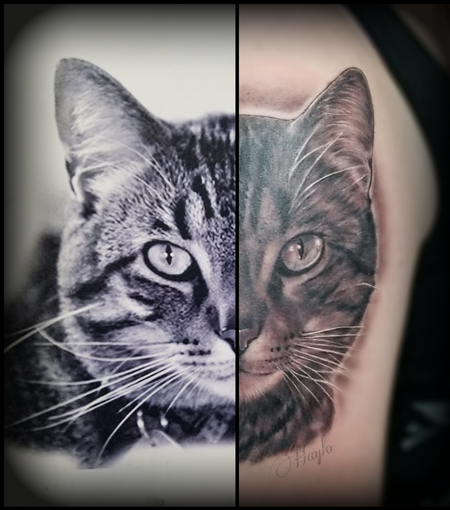 Tattoos - Black and Gray Cat portrait tattoo by Haylo - 141593