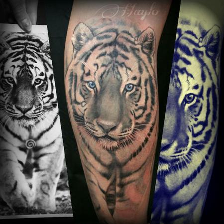 Tattoos - Realistic White Tiger with blue eyes - 103840