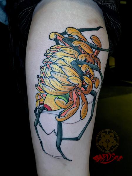 Kevin Bledsoe - Spidermum Spider Chrysanthemum 