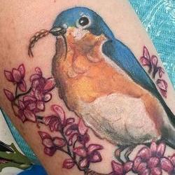 Tattoos - Bluebird Realism Tattoo - 146498