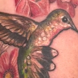 Tattoos - Floral Hummingbird - 146502