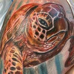 Tattoos - Realistic Sea Turtle  - 146489