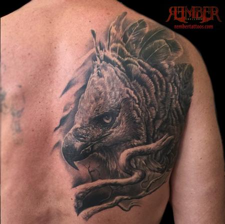 Tattoos - Black and Grey Realism Harpy Eagle - 109069